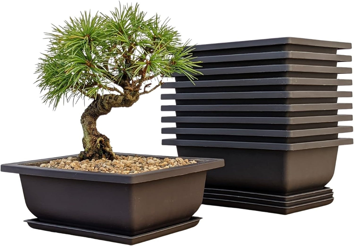 Bonsai Training Pots Humidity Trays - Built in Mesh, 6-Inch Large Planters + Made from Durable Shatter Proof Poly-Resin, 9-Pack Pot Set