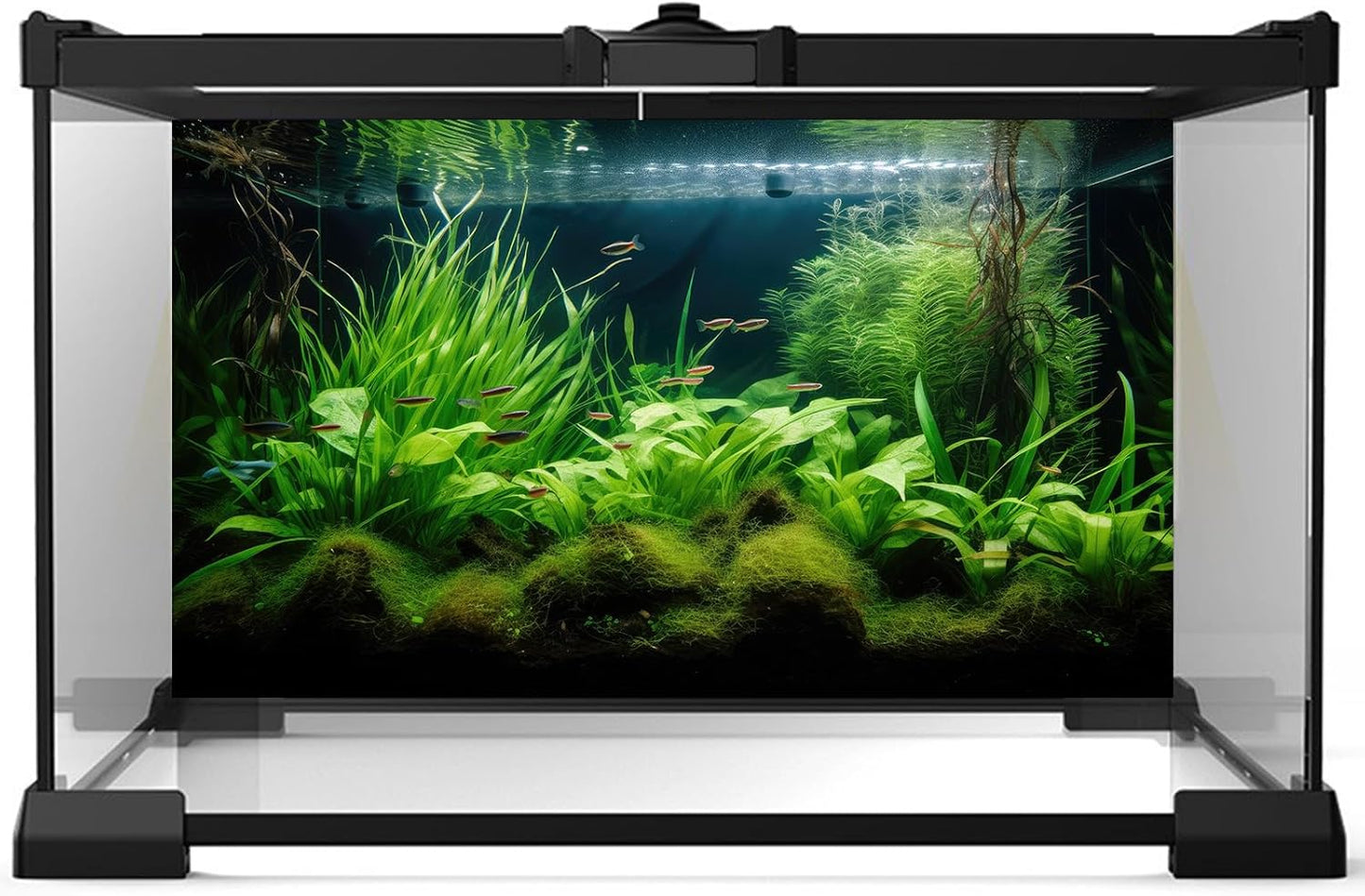 Aquarium Background Diverse Aquatic Plants Seagrasses Terrarium Background Redwood Root Lush Green Underwater Plants Tropical Style Fish Tank Background Under The Sea Aquarium Backdrop Vinyl 48x18in
