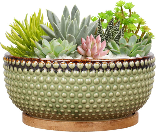 8 Inch Ceramic Succulent Shallow Planter Pot with Drainage Hole and Saucer Beaded Stoneware Planter for Indoor Plants Green