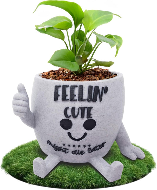 Funny Face Indoor Head Planter Pot, 3D Printed, Unique Small Succulent Flower Pot, Cute Cactus Planter, Indoor Home Decor, Office Desk Plant Pot, Novelty Gardening Gift Set