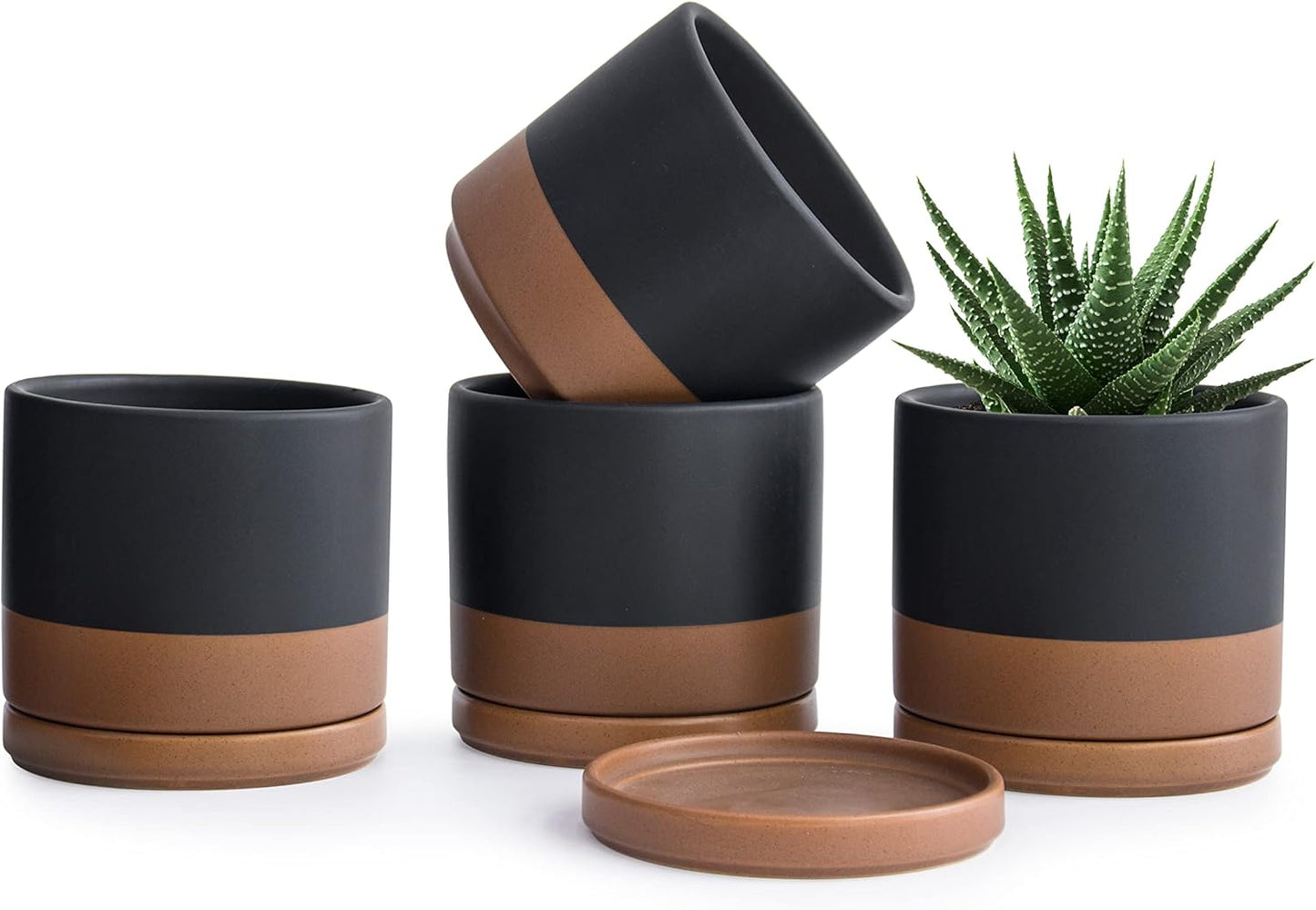 D'vine Dev Set of 4 Small Ceramic Plant Pots, 4.6 Inch Succulent Planter Pot for Plants with Drainage Hole and Saucer, Black/Speckled Tan, 94-X-B-7
