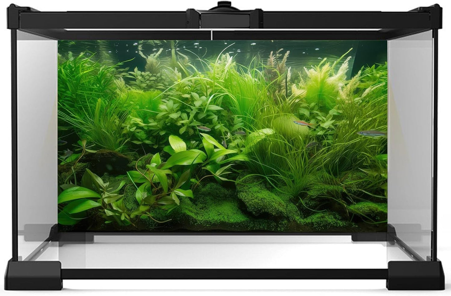 Aquarium Background Diverse Collection of Aquatic Plants Seagrasses Terrarium Background Redwood Root Moss Tropical Style Underwater Lush Green Plants Fish Tank Background Wallpaper Poster 36x18in