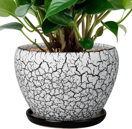 Ceramic Planter Pot - 6 Inch Plant Pot with Drainage Hole and Saucer, Succulent Pot Glaze Round for Indoor Outdoor Plants, White and Black