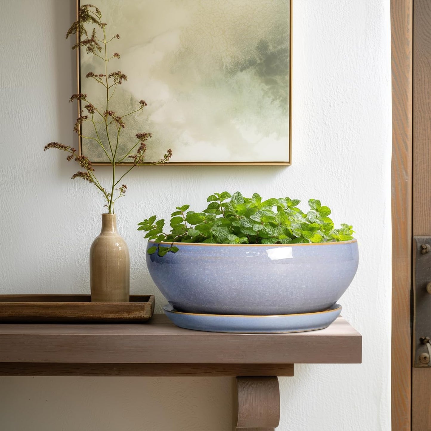 SQOWL Succulent Pots - 10 Inch Ceramic Bonsai Pots with Drainage Hole and Saucer, Round Shallow Planter for Indoor Outdoor Plants, Ceramic Planter Bowl, Home Decor, Gardening Gifts, Blue