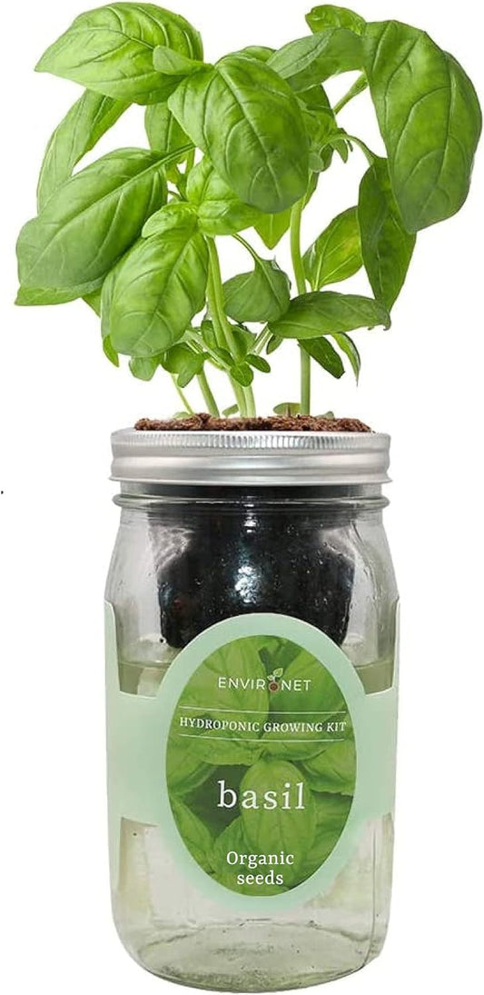 Hydroponic Growing Kit, Self-Watering Mason Jar Herb Garden Starter Kit Indoor, Windowsill Herb Garden, Grow Your Own Herbs from Organic Seeds (Basil)