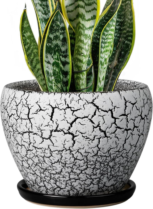 Ceramic Plant Pot 8 Inch - Ceramic Planter for Indoor Plants, Round Flower Pot with Drainage Hole and Saucer, Glaze White and Black