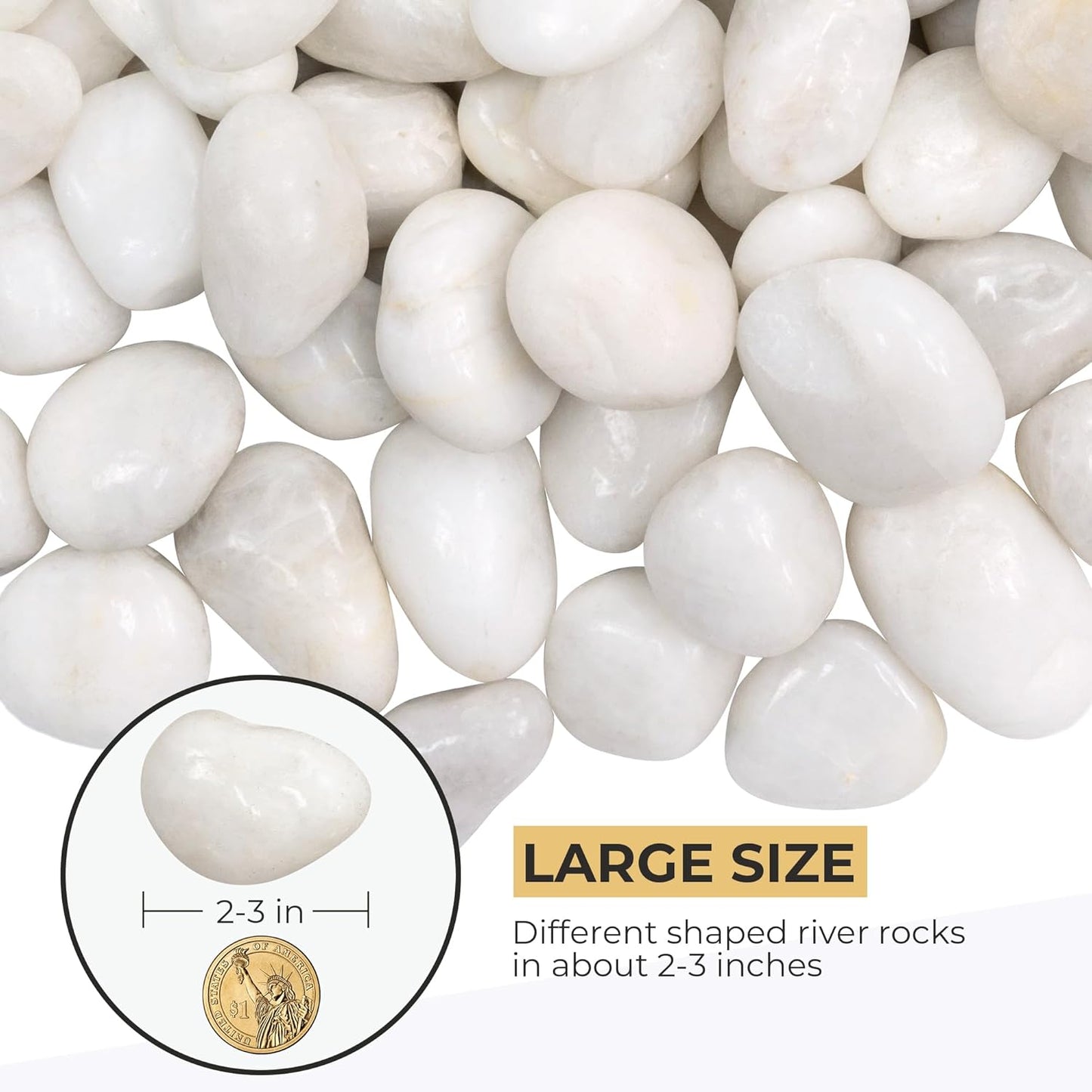 5lbs Large Pebbles for Indoor Plants, 2-3 Inch Natural White River Rocks for Aquarium, High Polished Decorative Stones for Vase Filler Fish Tank Landscaping Garden