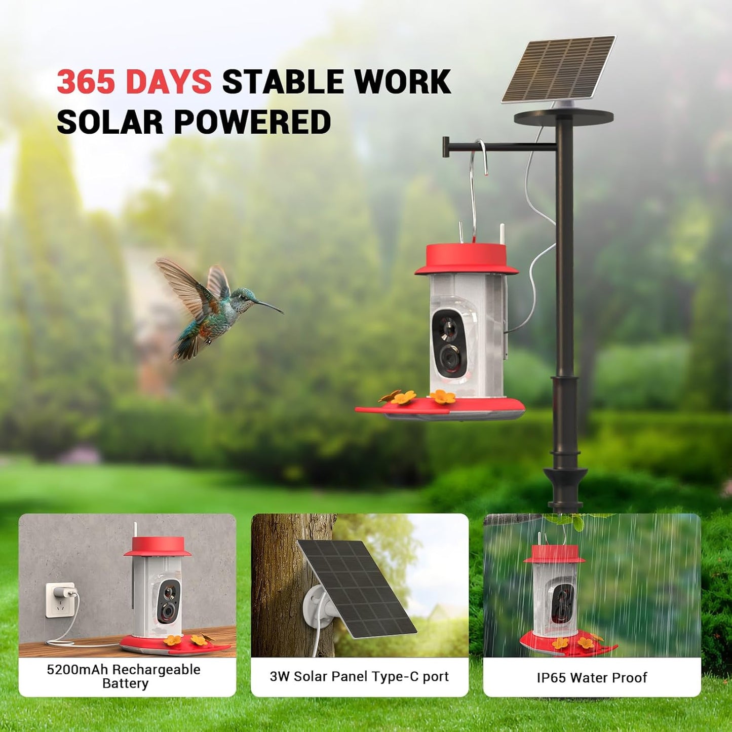Hummingbird Feeder with Camera, AI Smart Identification Cloud Storage Function, Featuring Ant Moat Protection, Solar Power, Instant Notification, Automatic Bird Video Capture, and Motion Detection