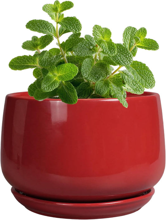 G EPGardening Ceramic Pots for Plants - 4 inch Succulent Pots Indoor Outdoor, Small Planter with Drainage Hole & Tray, Modern Flower Pot, Decorative Round Planter, Living Room Decor, Home Gifts, Red