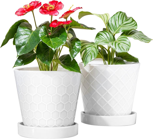 BUYMAX Plant Pots Indoor –6 inch Ceramic Flower Pot with Drainage Hole and Ceramic Tray - Gardening Home Desktop Office Windowsill Decoration Gift, Set of 2(White)