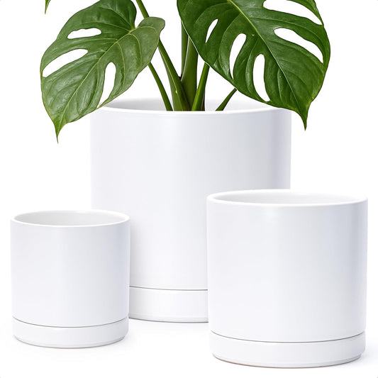 D'vine Dev 6 Inch & 8 Inch & 10 Inch, Set of 3 Round Ceramic Planter Pot with Drainage Hole and Saucer, White, 94-T-L-1