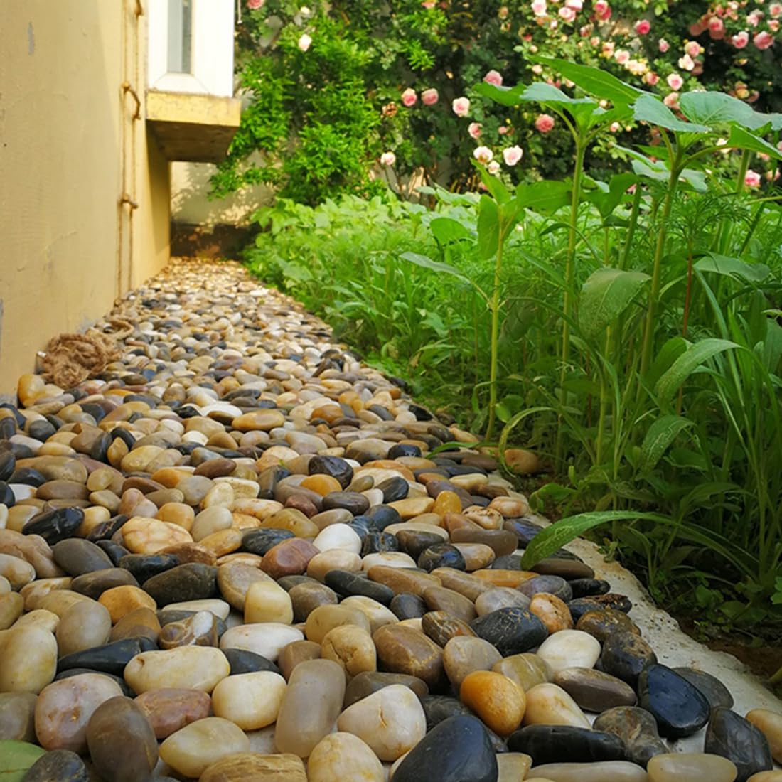 10lbs Pebbles for Indoor Plants, 2-3 Inch Mixed Color High Polished Large River Rocks Outdoor Decorative Stones Vase Filler Fish Tank Aquariums Landscaping Garden Outdoor and Indoor DIY