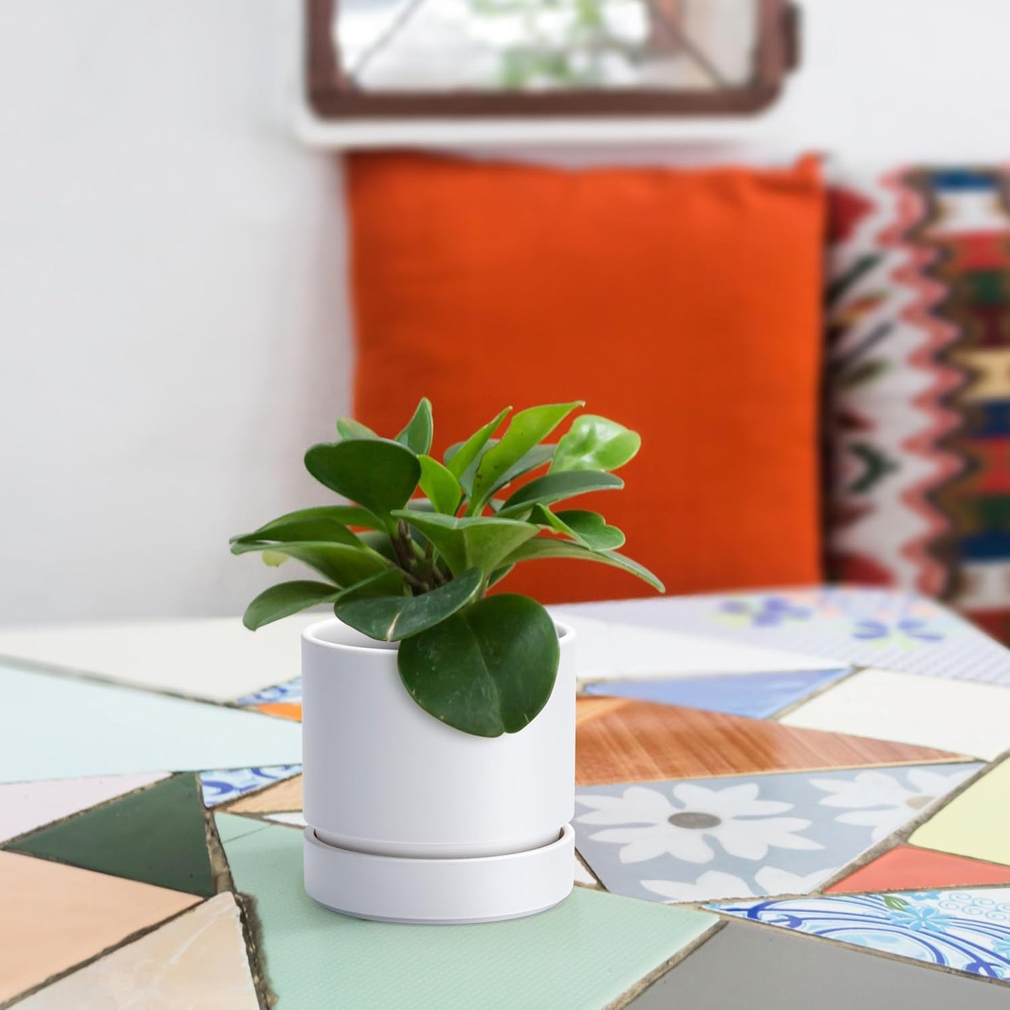 Phoenix Vine 4 Inch Planter Pot with Drainage Hole & Saucer, Deep Water Catch Tray, Straight Cylindrical Round Pot for Plants, Matte White, Pack of 6, 23-B-R-6