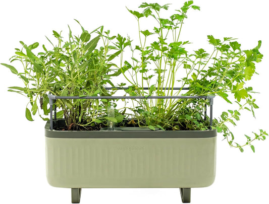Vego garden Herb Indoor Plant Box, Self Watering Planters Pots for Indoor Plants with Trellis for Kitchen Window Sill or Countertop Plants Cage - Sage Green
