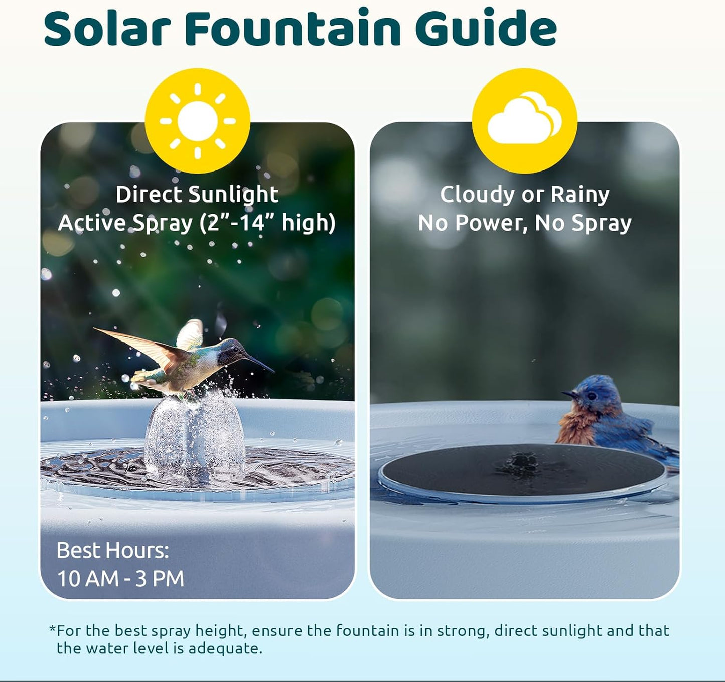 Birdfy Smart Bird Bath with Camera Solar Powered & Fountain & Stand, Dual-Lens Camera for Wildbird Watching, Auto Capture Bird Videos & Motion Detection - AI by Subscription