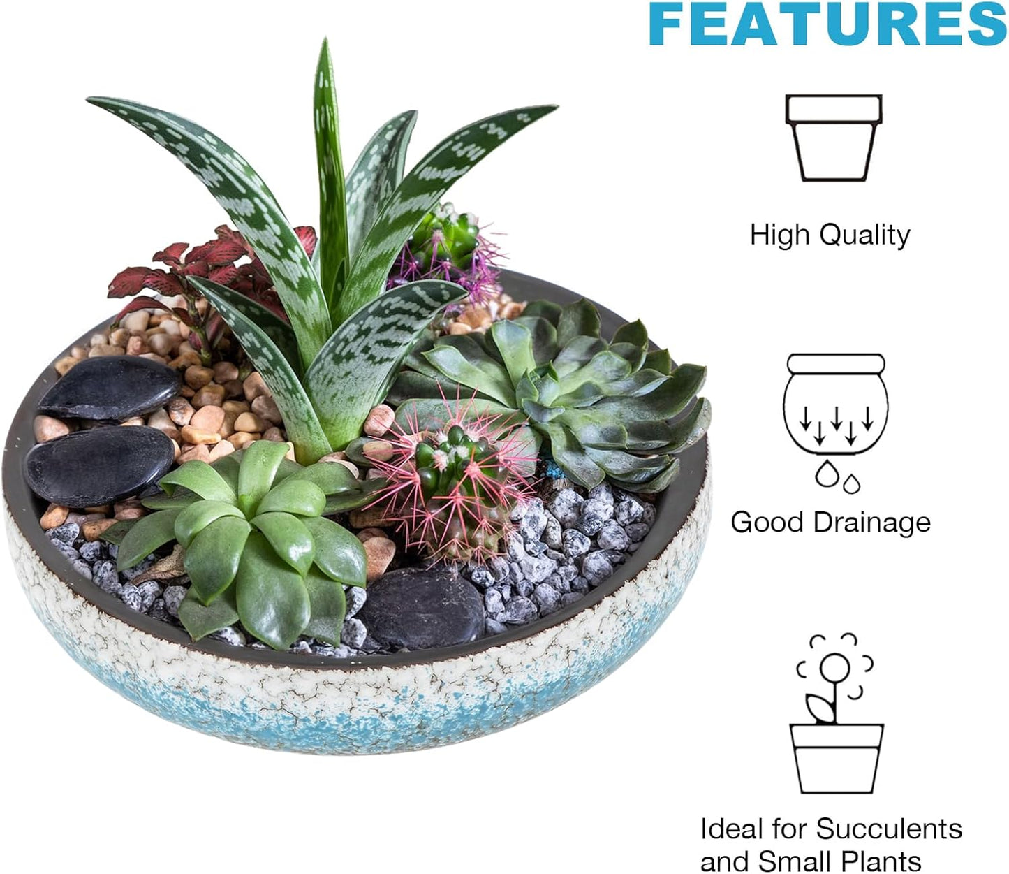 kilolfy Happy Bonsai Pot 8.5 inch Glazed Ceramic Succulent Planter Container Blue