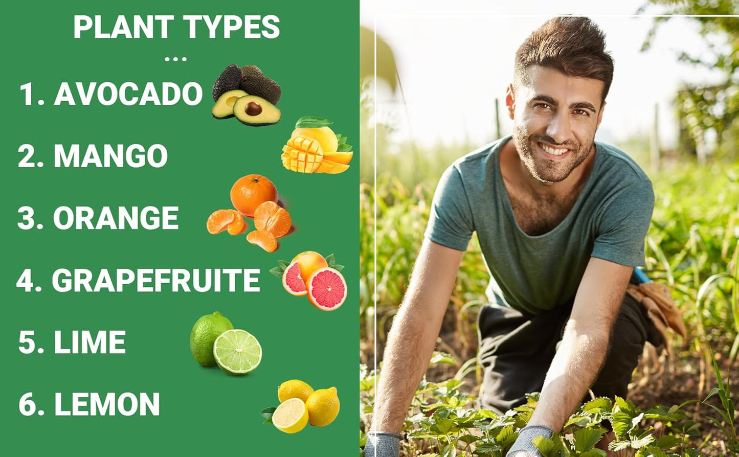 6-4-6 Avocado, Mango Citrus Tree Professional Fertilizer, Plant Food Outdoor/Indoor Gardening; Quick-Release Nitrogen Fertilizer; Orange, Lime, Avocado and Lemon Tree Fertilizer (1/2 QUART)