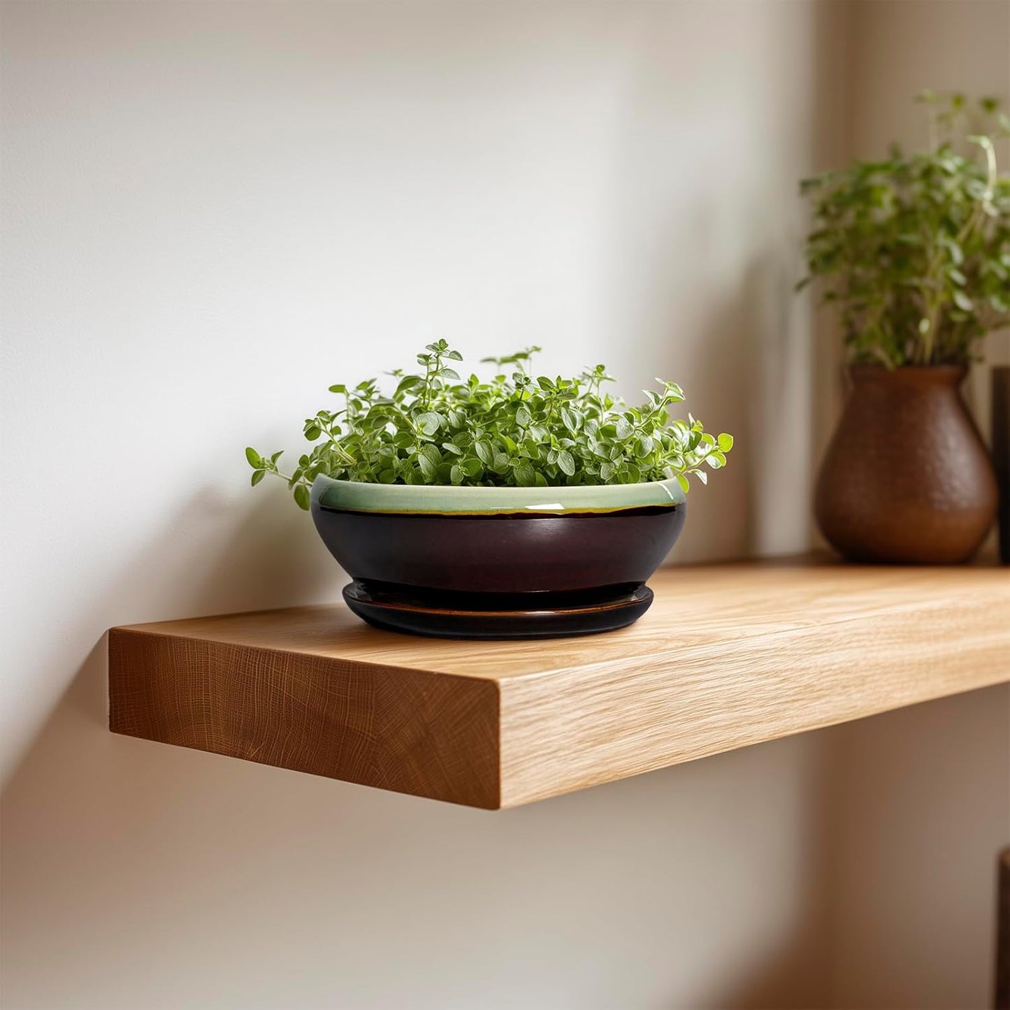 SQOWL Succulent Pots 6 Inch - Shallow Ceramic Planter, Bonsai Pot with Drainage Hole and Saucer, Round Ceramic Succulent Planter for Indoor Outdoor Plant, Kitchen Decor, Plant Lover Gift, Green-Brown