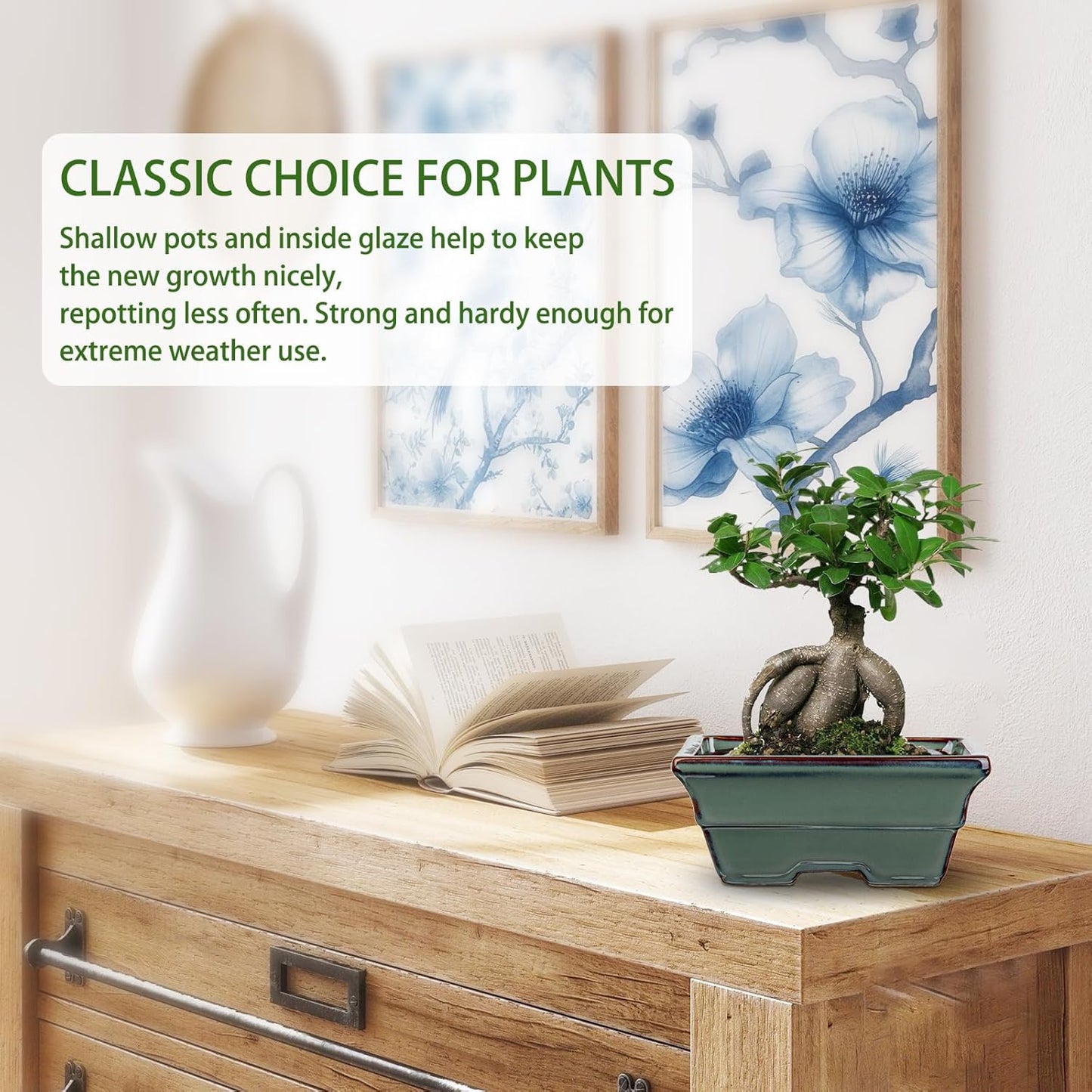 Ceramic Bonsai Pots with Drainage Hole Set of 2, Green Glazed Bonsai Planters for Indoor/Outdoor Use, Rectangular Shallow Bonzai Tree Pot for Succulent, Orchids, Cacti, Home, Patio, Garden, 6.3"x4.9"