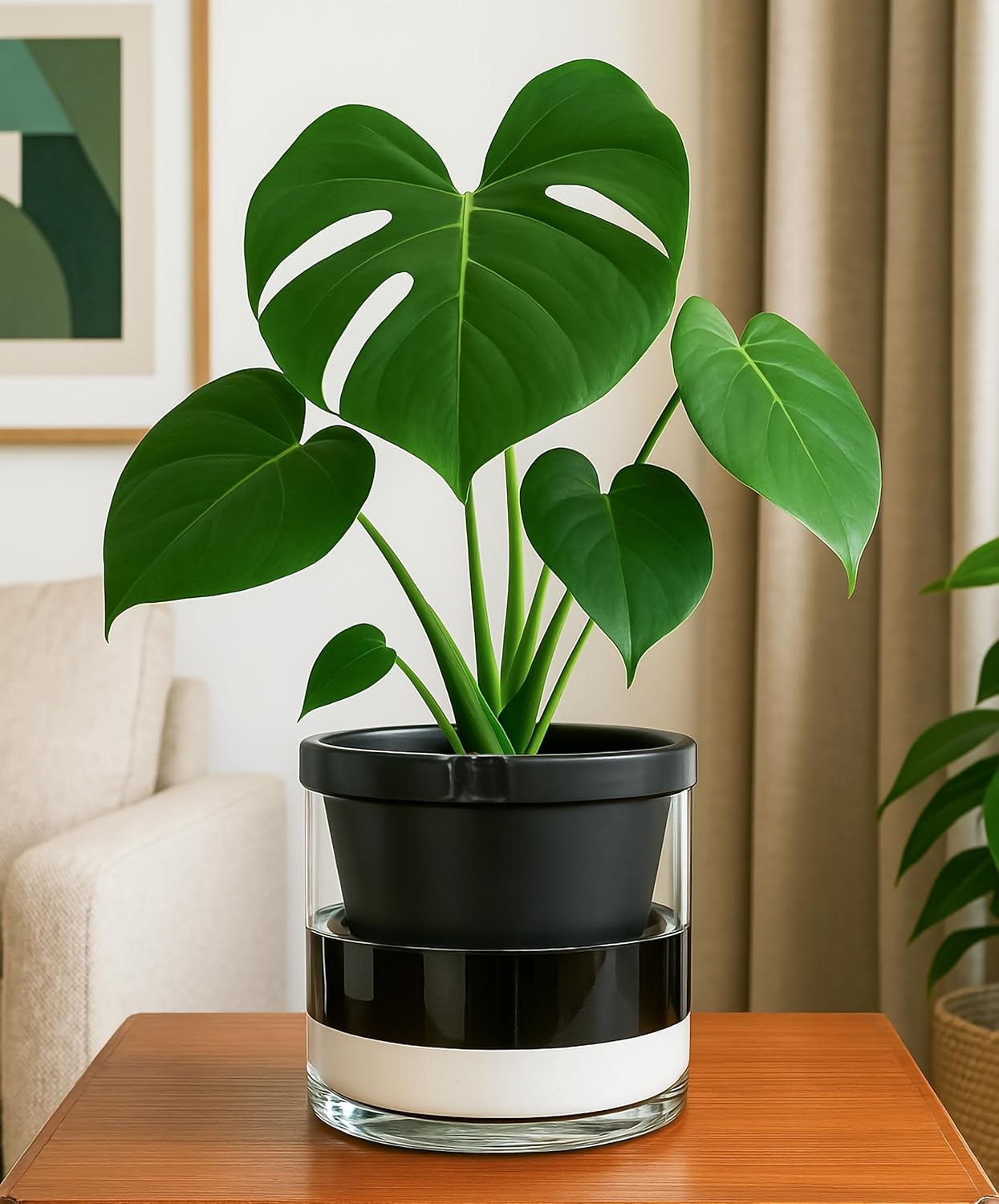 D'vine Dev 8 Inch Design Self Watering Planter for Indoor Plants, Black Terracotta Pot with Cylinder Glass Cup, 37-X-C-3