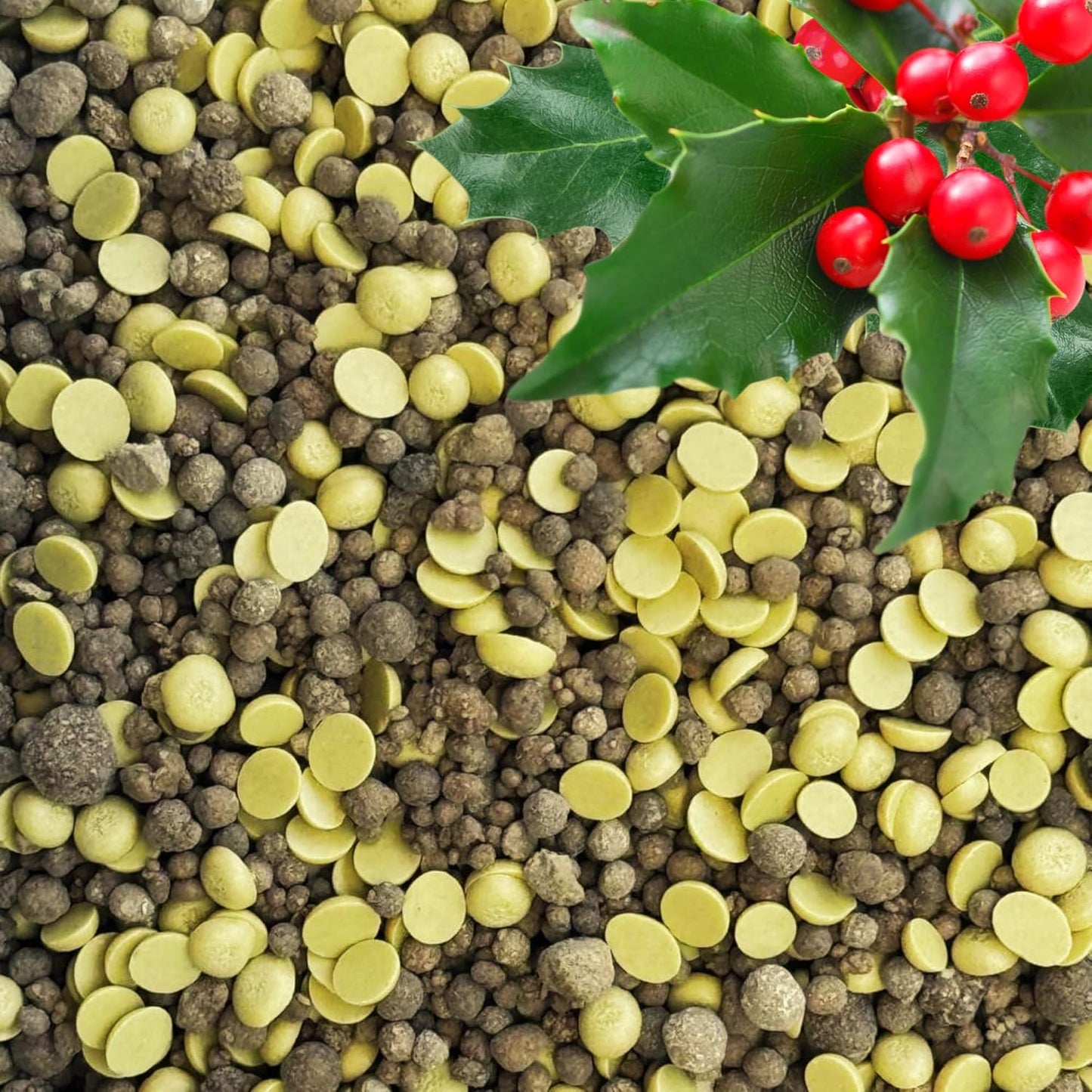 Quick-Release Soil Acidifier - Elemental Sulfur & Gypsum Mix - Hydrangea & Blueberry Fertilizer, Aluminum Sulfate Alternative, Improves Blue Hydrangea Color (1/2 qt. - 1 lb.)