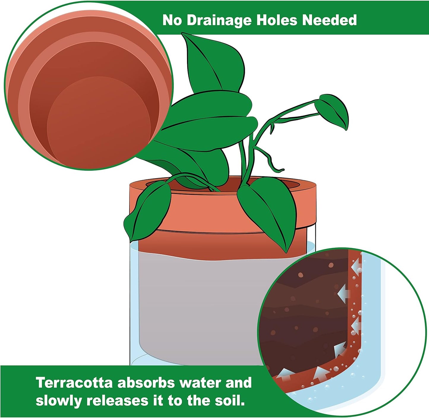 Phoenix Vine 6 Inch Self Watering Planter Pot, Terracotta Clay Pot with Glass Reservoir for Indoor Plants, Herbs, Flowers, Set of 1, 52-A-F-1