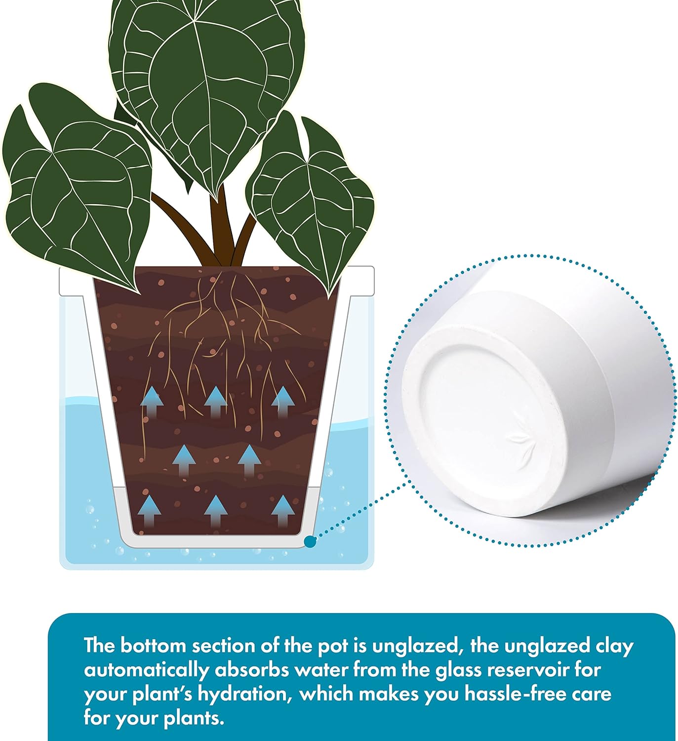 D'vine Dev 8 Inch Design Self Watering Planter for Indoor Plants, White Terracotta Pots with Cylinder Glass Cup, 37-X-C-2