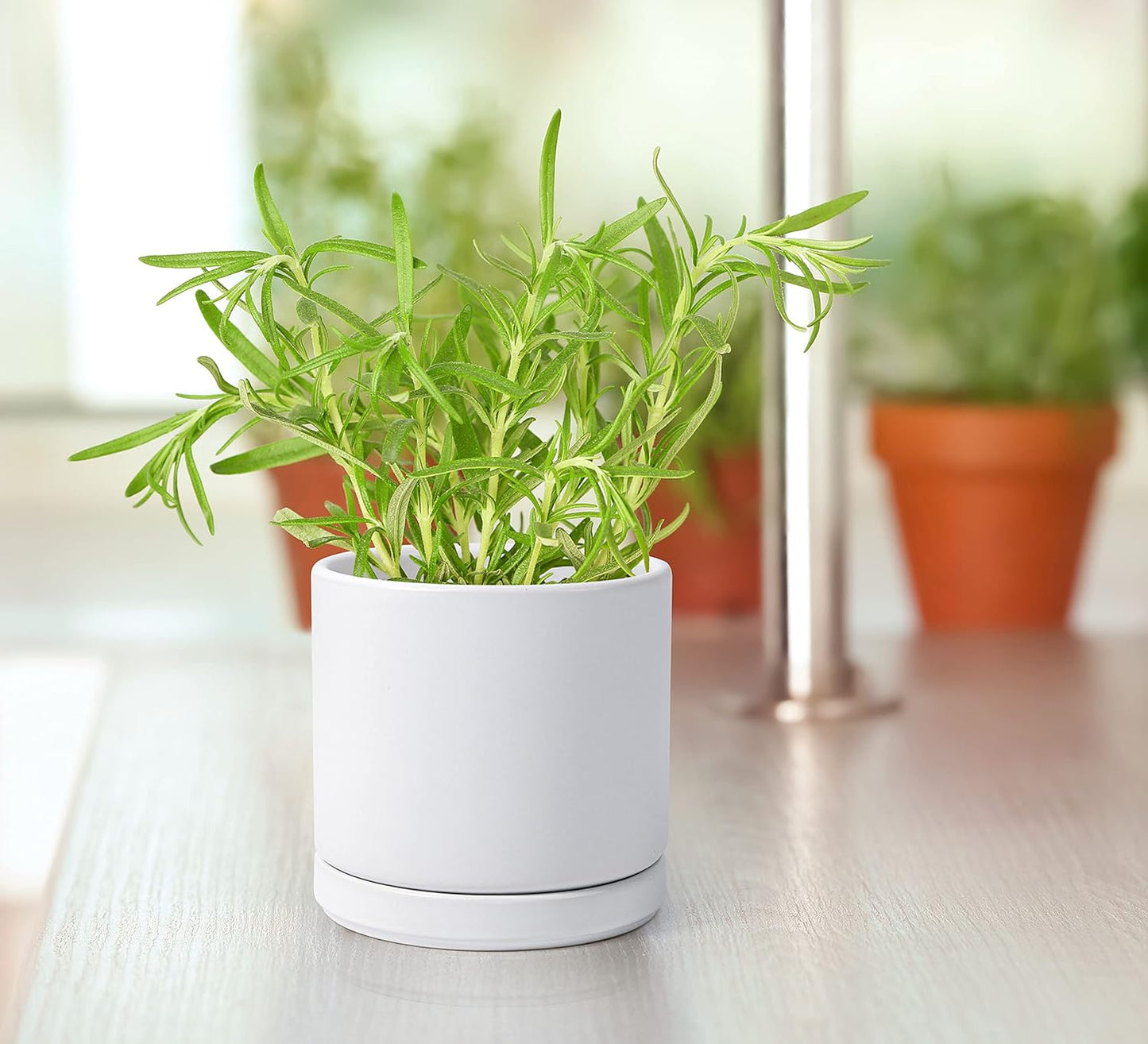 D'vine Dev Set of 4 Small Ceramic Plant Pots, 4.6 Inch Succulent Planter Pot for Plants with Drainage Hole and Saucer, White, 94-X-B-1