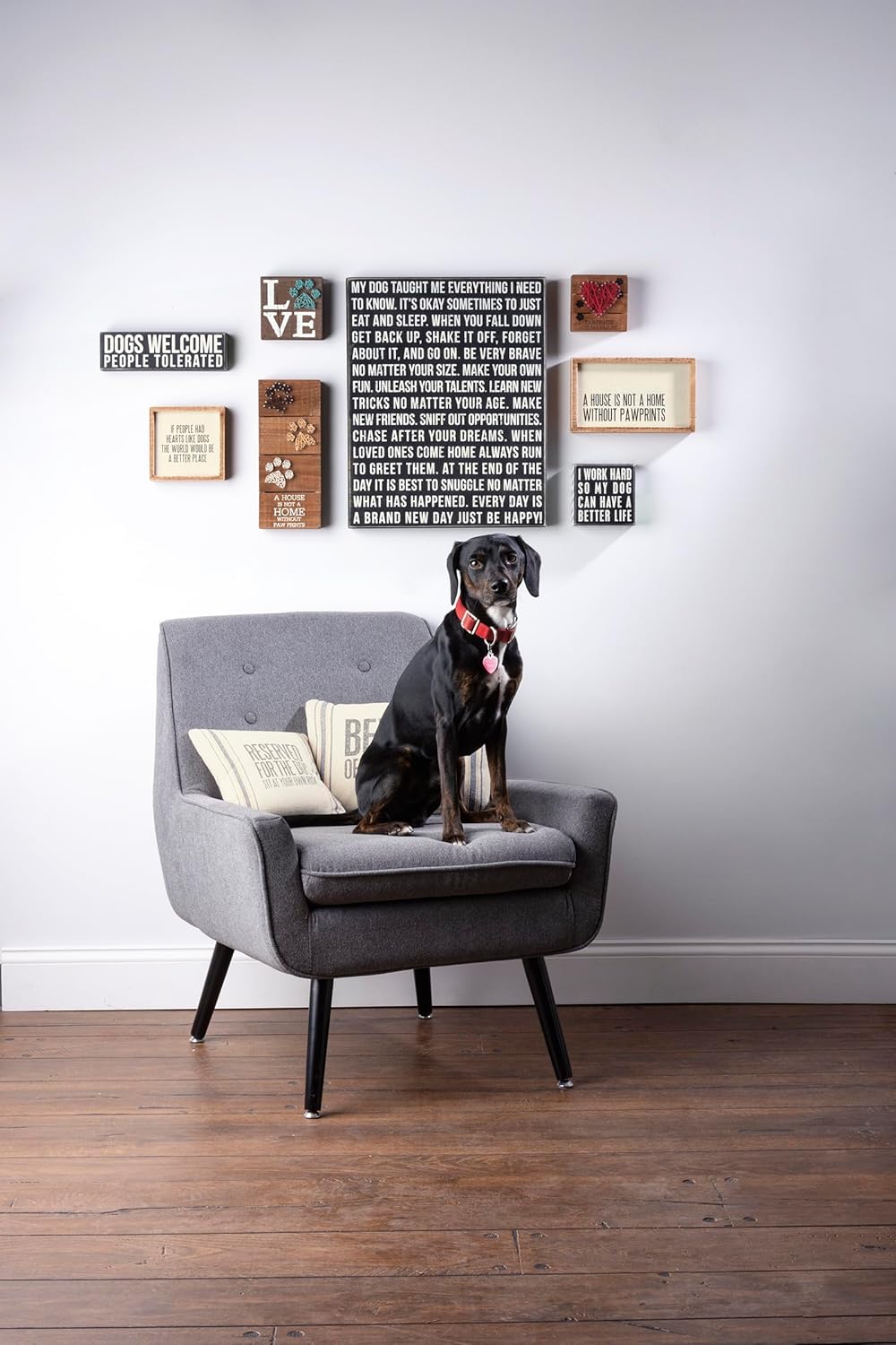 Primitives by Kathy Rustic Wooden Decor Sign - 'Dogs Welcome, People Tolerated' - Office/Farmhouse Decor, Dog Lovers Gift, 5"