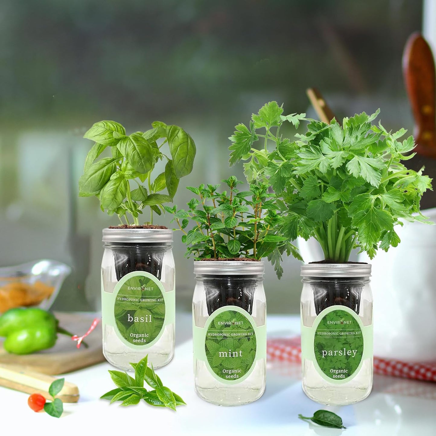 Hydroponic Herb Growing Kit Set, Self-Watering Mason Jar Herb Garden Starter Kit Indoor, Windowsill Herbs Garden, Grow Your Own Herbs from Organic Seeds (Basil, Mint, Parsley)