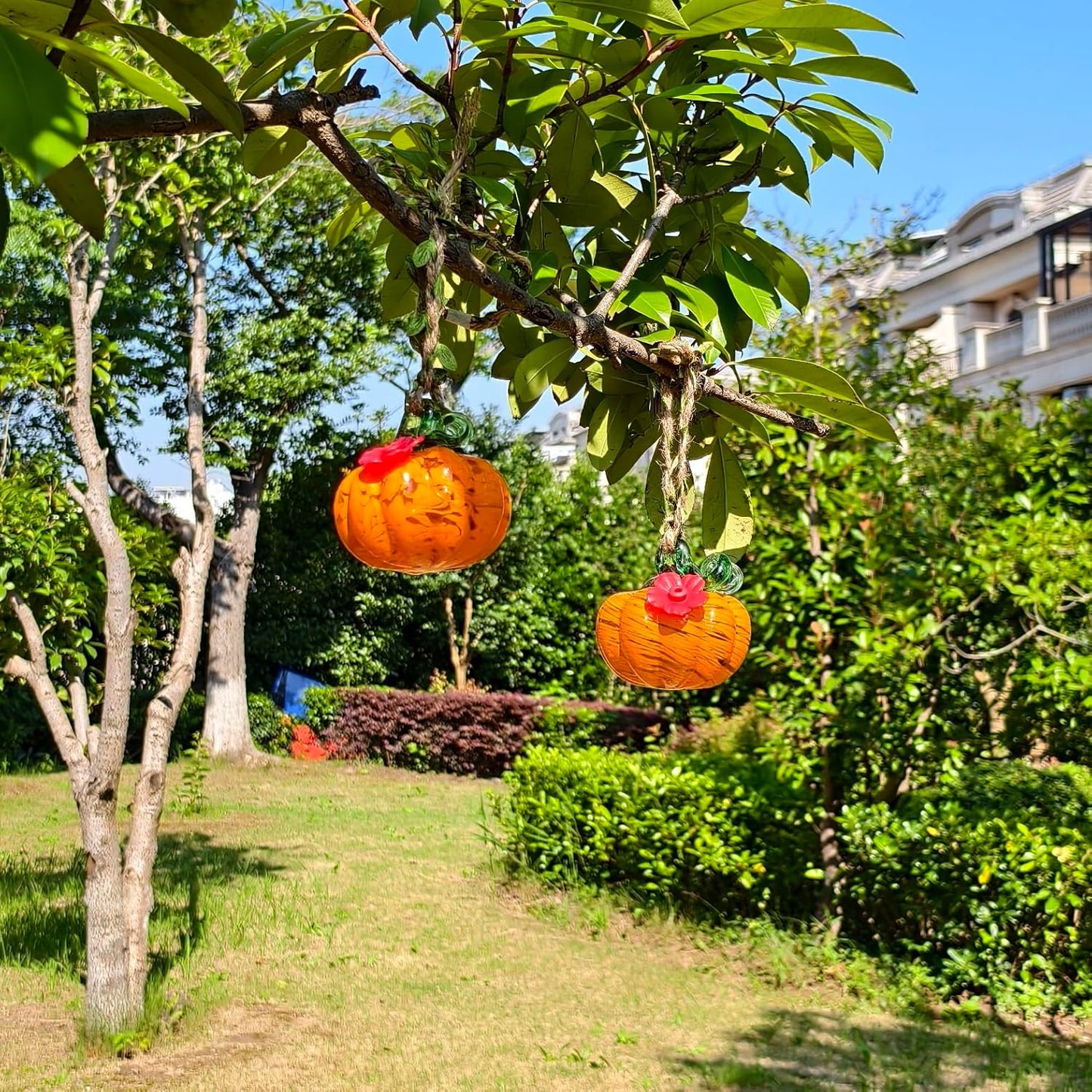 Small Glass Hummingbird Feeders for Outdoors Hanging - 2PC X Orange Yellow Hand Blown Glass Pumpkin Nectar Feeding, 2 Flowers Feeding Ports, Decor for Garden/Backyard Outside