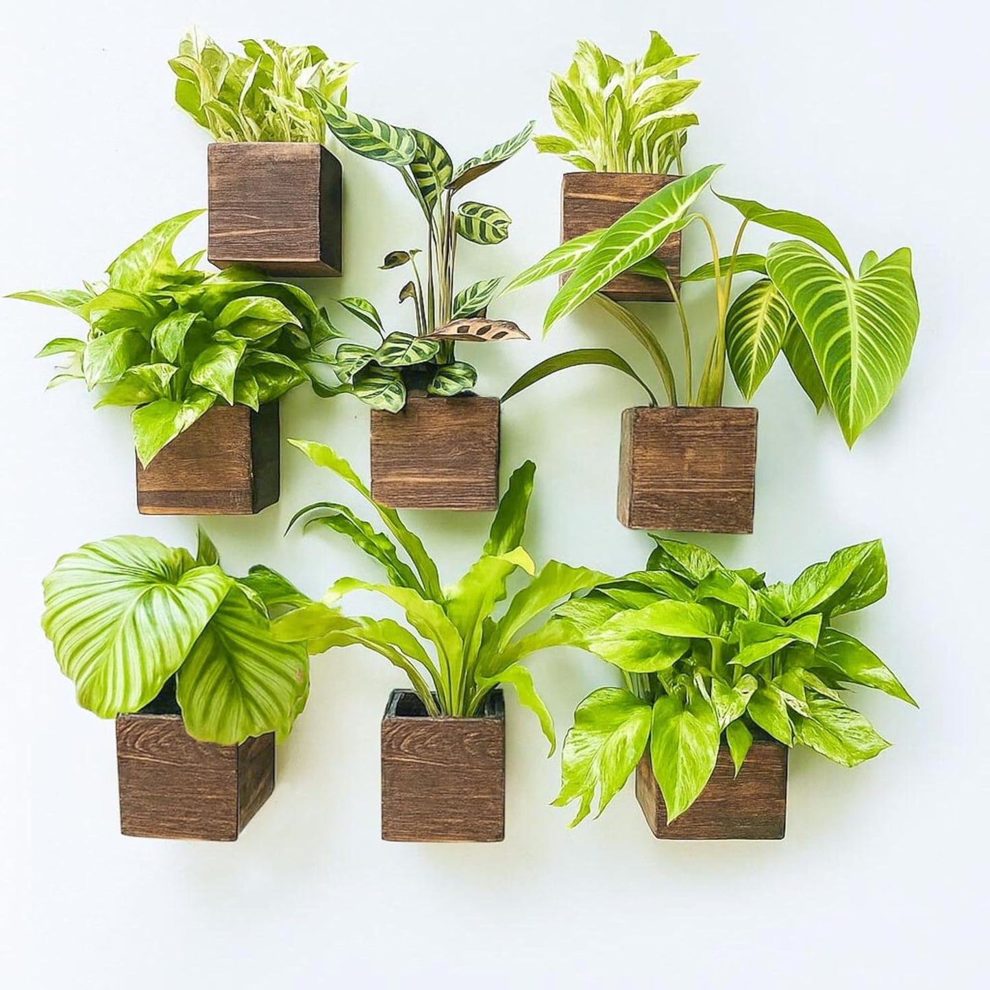 LaLaGreen Wood Planter Boxes for Plants (4x4 Inch, 8 Pack) Small Square Wall Mounted Planters for Indoor Plant, Herb Wooden Box Hanging Flower Pot Plant Holder Outdoor Fence Vertical Garden Home Decor