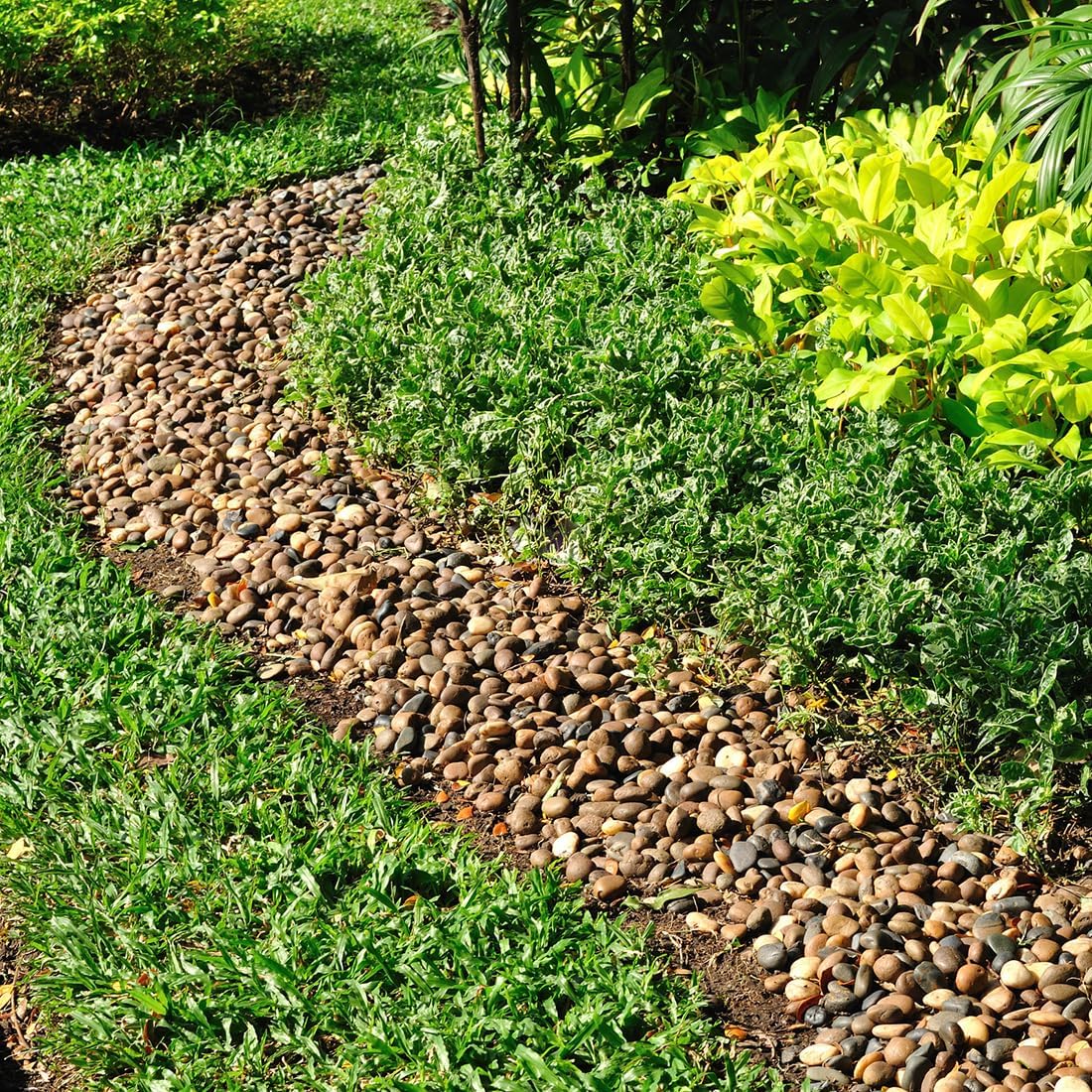 10lbs Aquarium Rocks, 5/8" Natural River Rocks for Plants Decorative Polished Mixed Pebbles for Fish Tank, Landscaping, Gardening, Flower Pots, Vase Fillers, Indoor Water Fountains