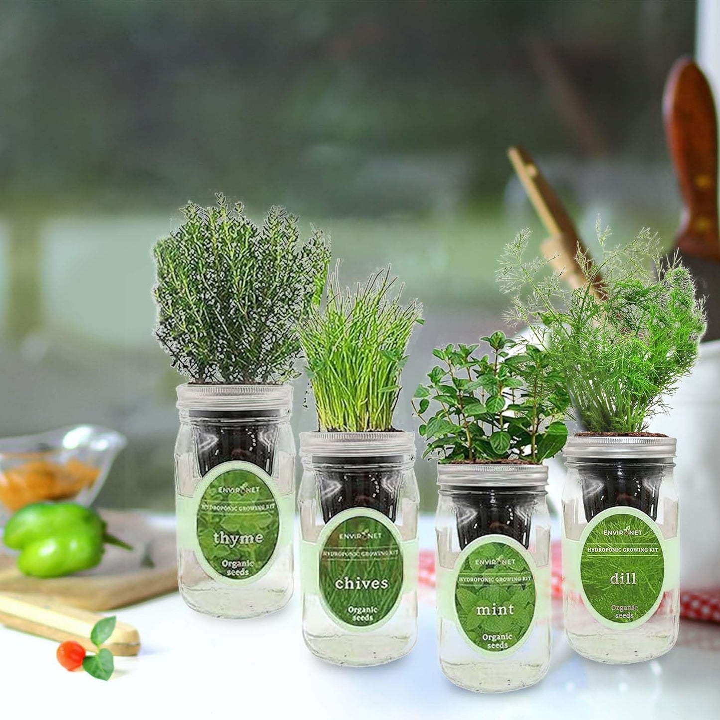 Hydroponic Herb Growing Kit Set, Self-Watering Mason Jar Herb Garden Starter Kit Indoor, Grow 4 Kinds of Herbs from Seeds (Mint,Thyme,Chives&Dill)