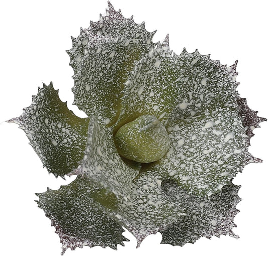 Duovlo Artificial Succulent Plant 5.15 Inch Faux Succulents Agave potatorum Flower Arrangement Craft Wall DIY Materials,Pack of 2 (New Green)