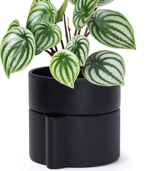 Phoenix Vine 6.5 Inch Self-Watering Planter Pot with Terracotta Insert, Deep Water Reservoir, and Ceramic-Alike BPA-Free Plastic Planter Pot for Plant, Modern Planter for Houseplants, Black, 53-A-S-2