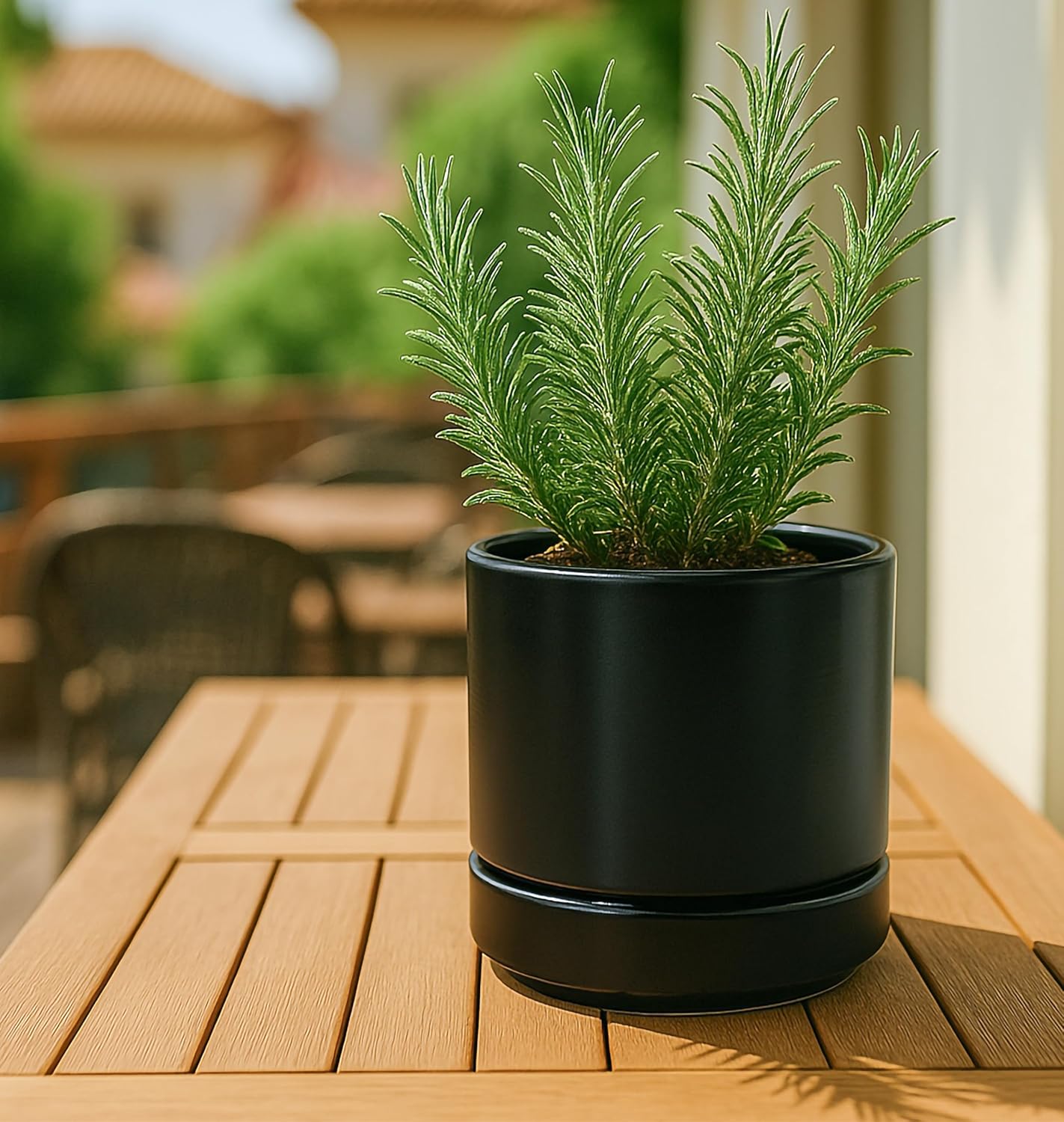 D'vine Dev 3 Inch & 4 Inch & 6 Inch, Set of 3 Round Ceramic Planter Pot with Drainage Hole and Saucer, Black, 94-T-S-2