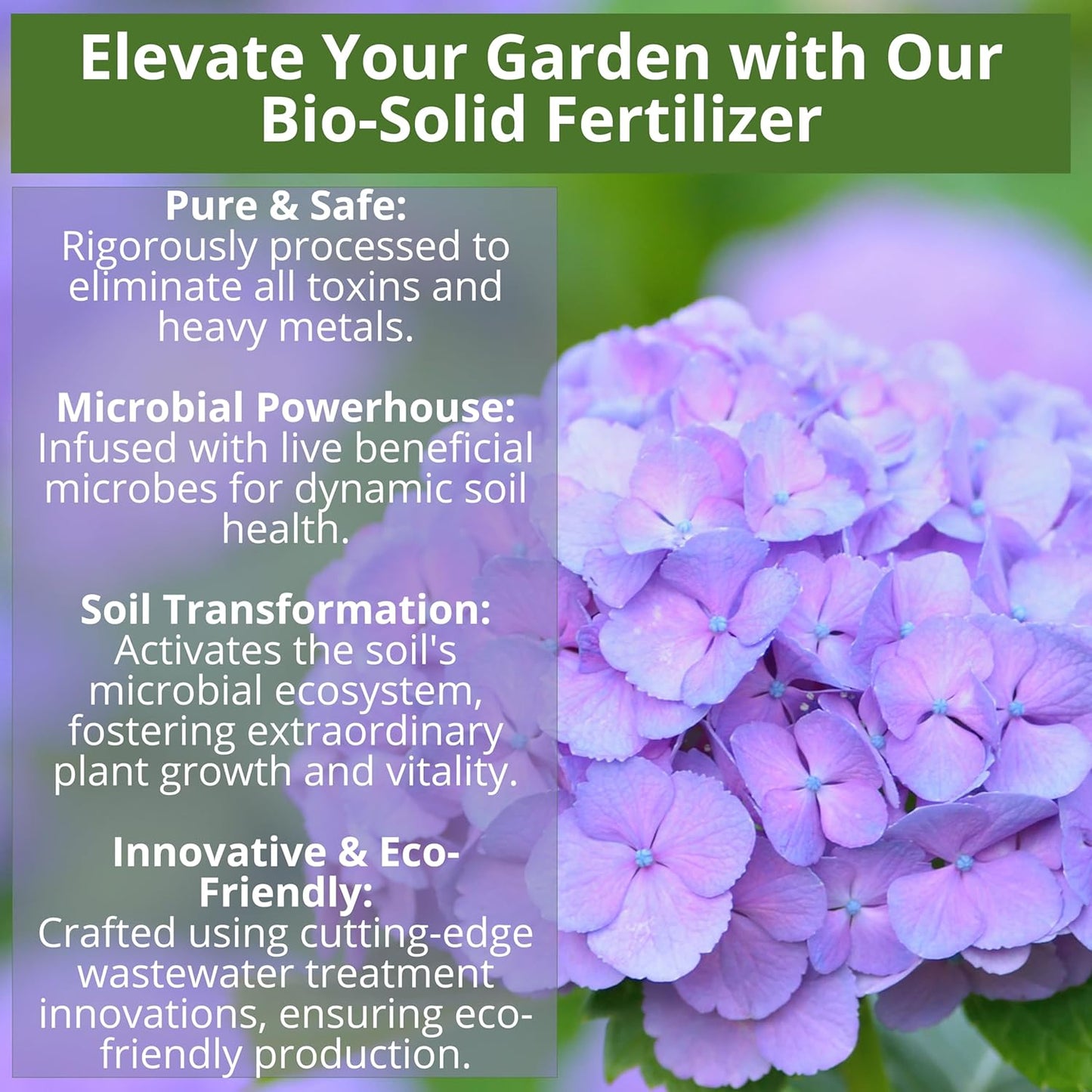 8-4-8 Acidic Fertilizer for Azaleas, Camellias (Camelia), Hydrangeas, Blueberries, Gardenias, Magnolia Trees, Evergreens, and Rhododendrons - Ideal Iron-Rich Plant Food (4 QUARTS)