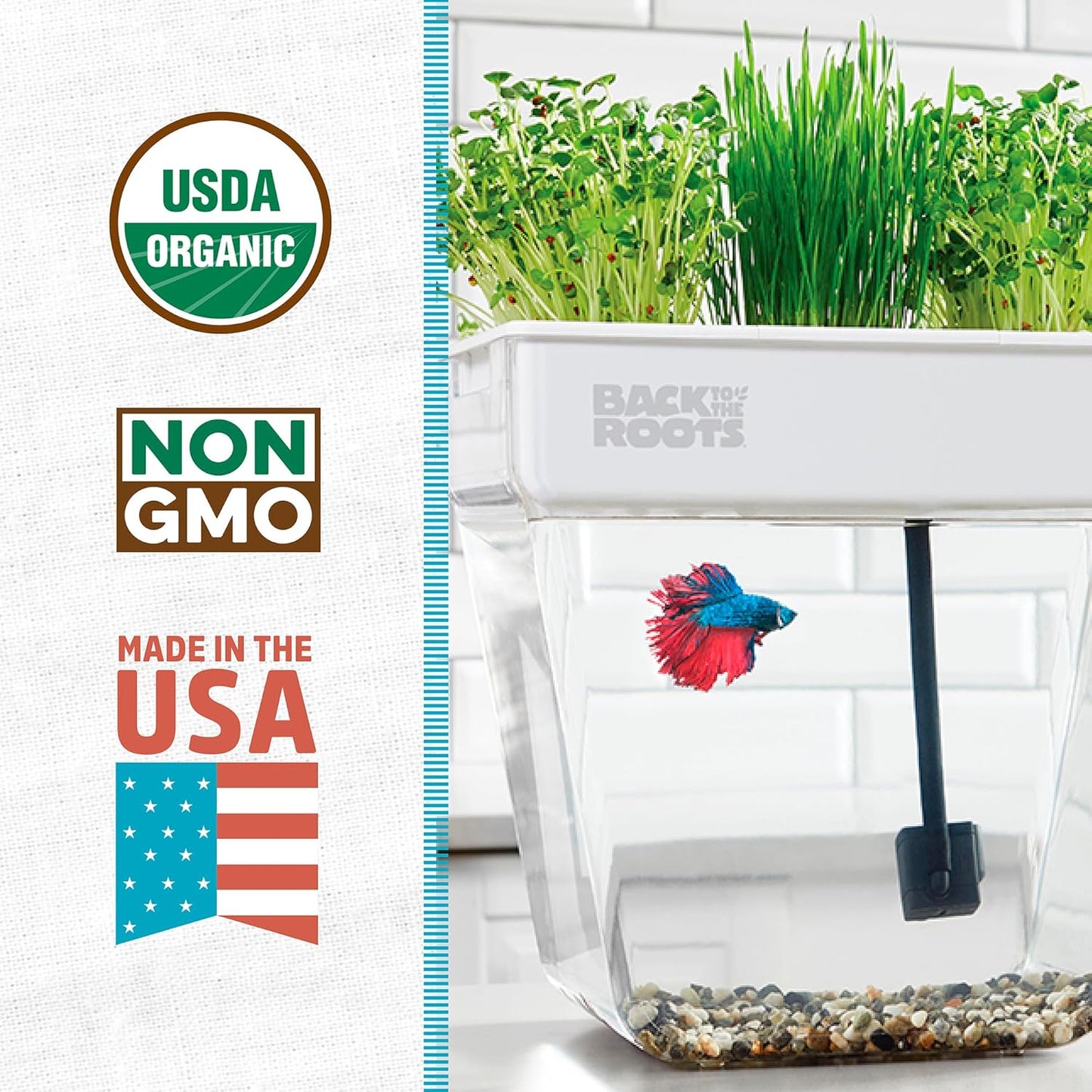 Back to the Roots Indoor Aquaponic Garden - 3 Gallon Self Watering, Mess-Free Planter and Self-Cleaning Fishtank for Herbs, Microgreens, Bamboo, Succulents, and Houseplants, support Fish