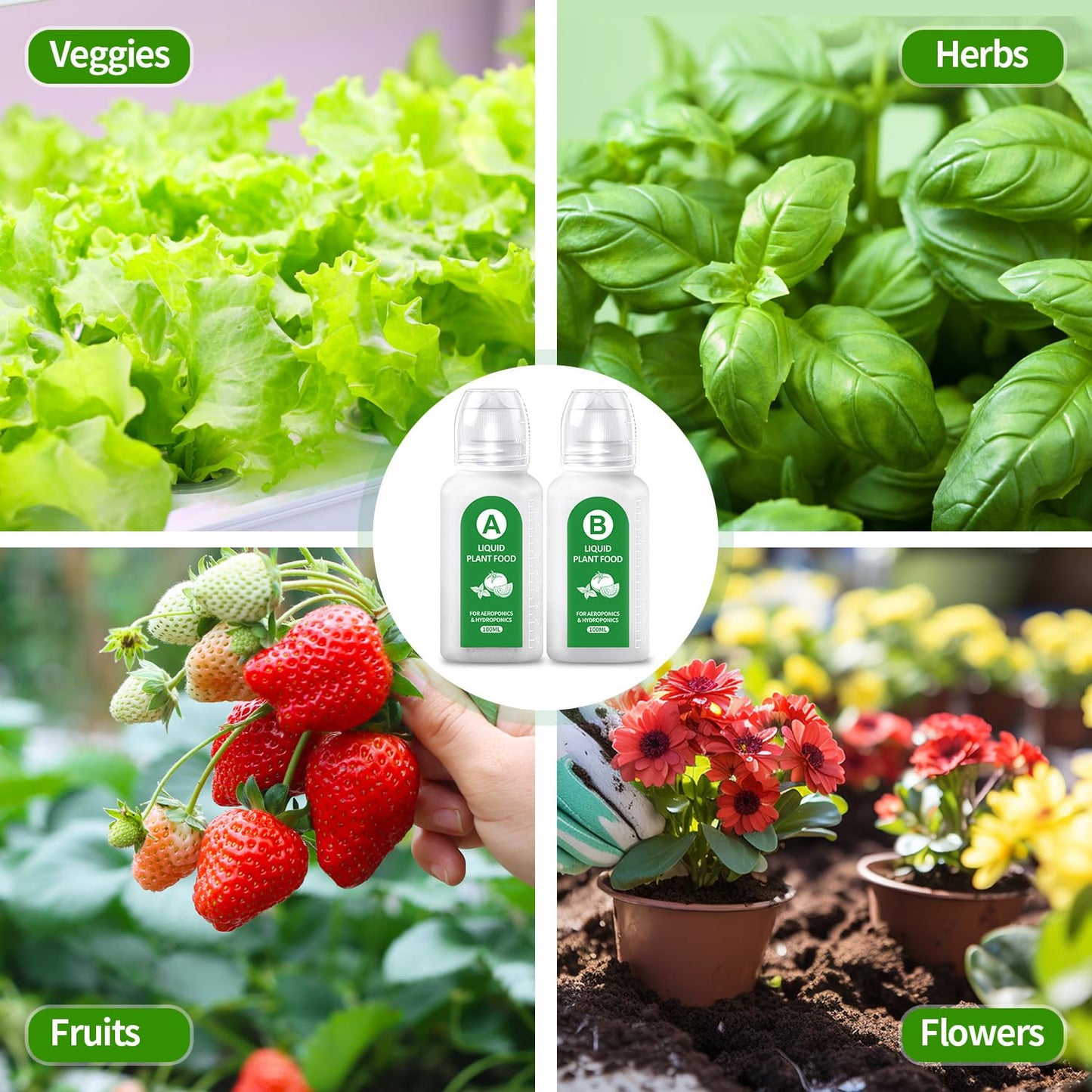 Hydroponics Nutrients(800ml in Total), All Purpose Plant Food A&B Hydroponics Supplies, Indoor Plant Fertilizer for Hydroponics Growing System, Hydroponic Solution for Herbs Vegetables