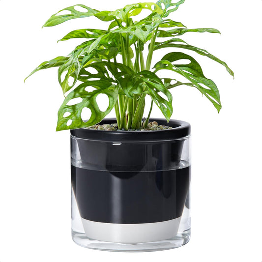 D'vine Dev 6 Inch Design Self Watering Planter for Indoor Plants, Black Terracotta Pot with Cylinder Glass Cup, 37-X-B-3