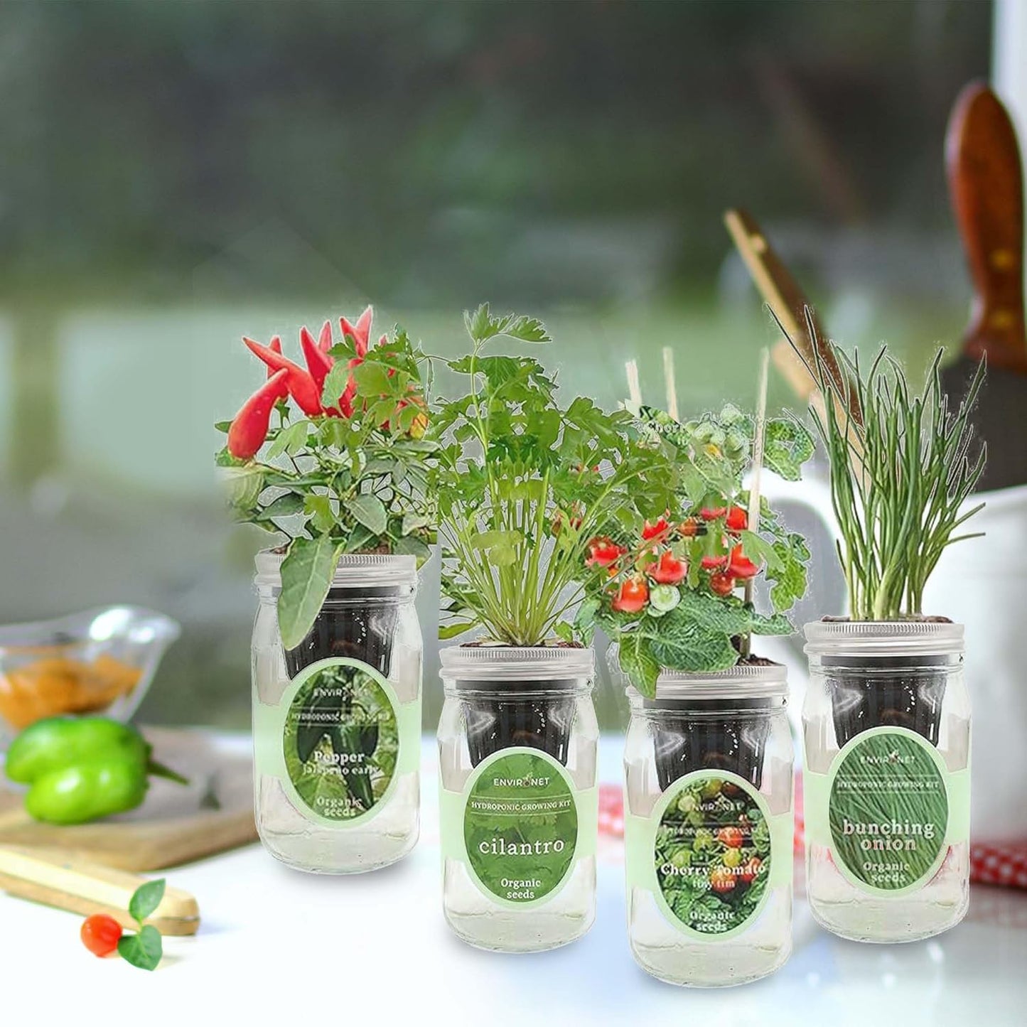 Hydroponic Mason Jar Indoor Garden Organic Seed Starter Kits - Zesty Salsa Growing Kits, Gardening Gift (Jalapeno Pepper, Cilantro, Cherry Tomato - Tiny Tim, Bunching Onion)