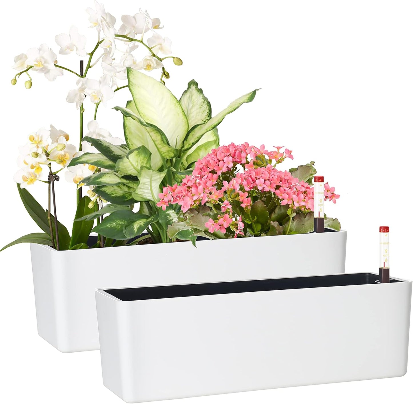GardenBasix Elongated Self Watering Planter Pots 2-Pack Window Box 5.5 x 16 inch Indoor Home Garden Modern Decorative Planter Pot for All House Plants Flowers Herbs (White,2)