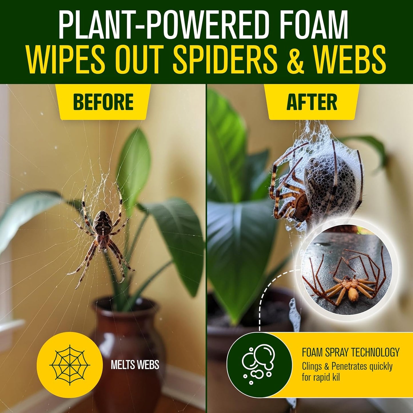 Green Guard Pest Control Spray - Indoor & Outdoor Killer of Ants, Roaches, Spiders & Other Crawling Insects, Safe Around Children & Pets, Plant-Based, Pleasant Scent (Citro Force, 16oz)