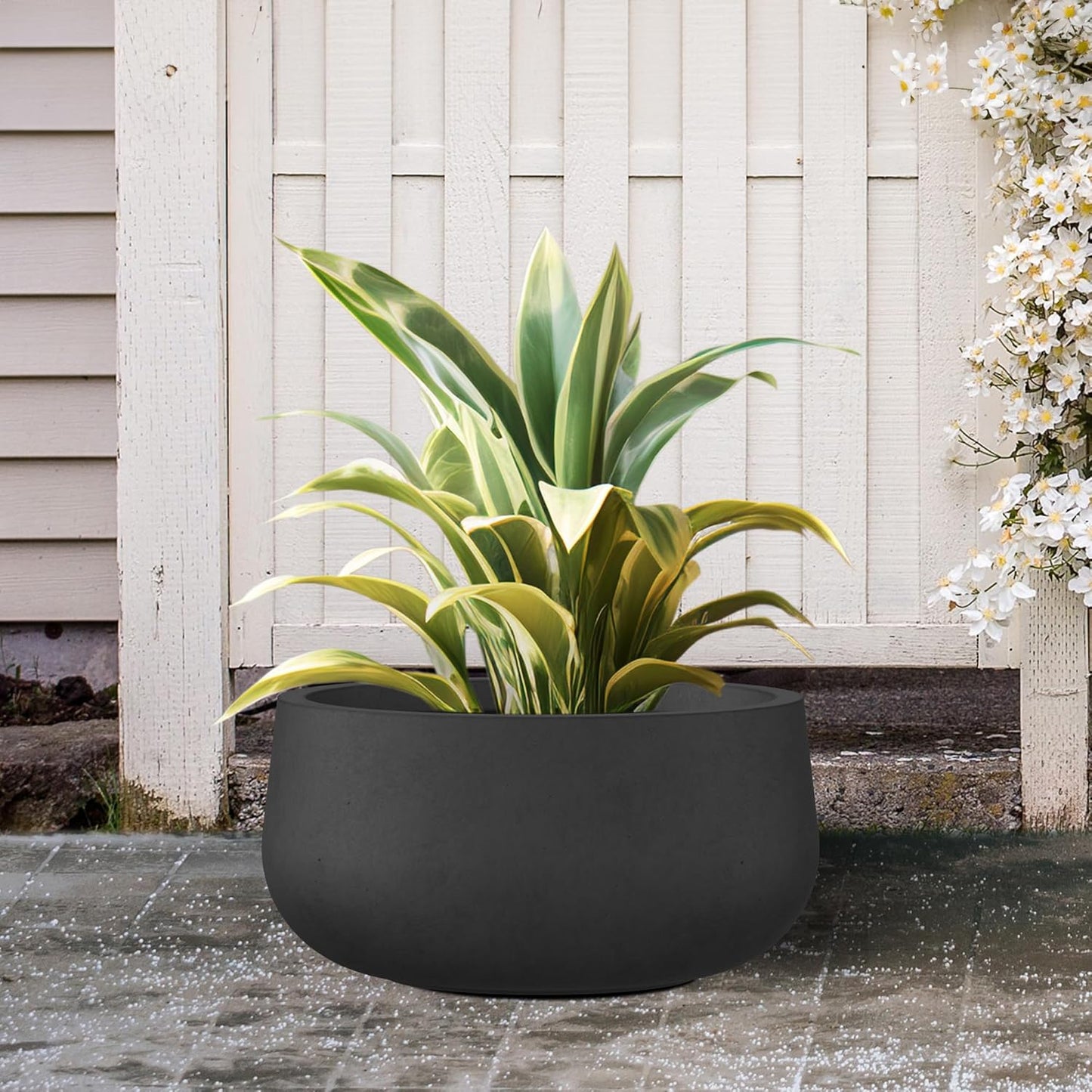 Kante 11.8" Dia Round Concrete Planter, Cement Plant Pots with Drainage Hole and Rubber Plug for Outdoor Indoor Garden Home, Modern Curvaceous Design, Black