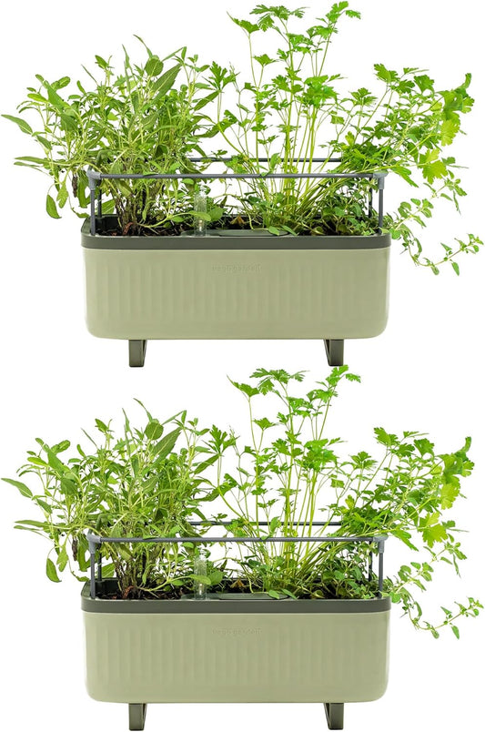 Vego Garden 2 Pack Herb Indoor Plant Box, Self Watering Planters Pots with Trellis for Kitchen Window Sill or Countertop Plants Cage - Sage Green