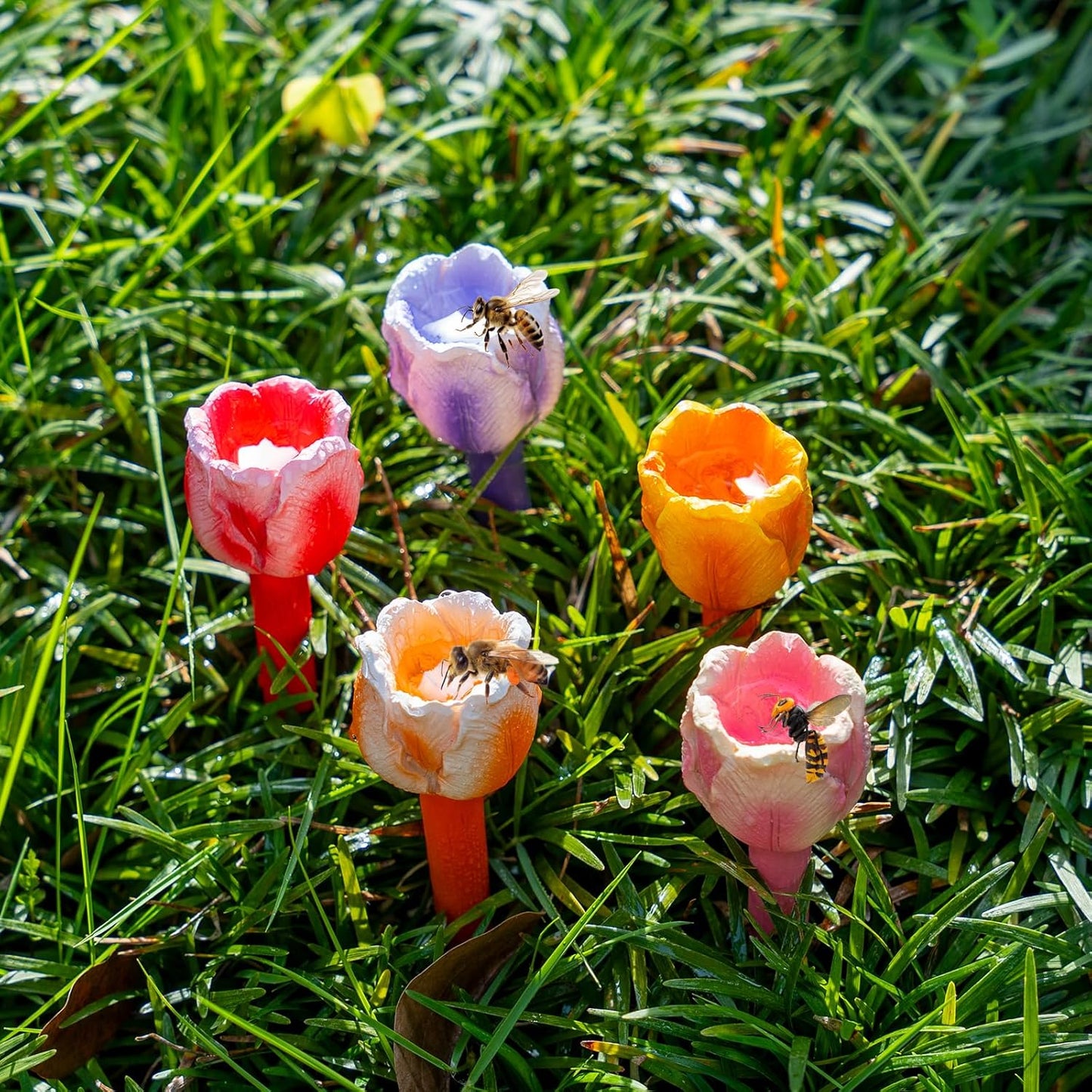 Drinking Cups for Insect, Water Station Flower Decor for Garden, Backyard, Porch, Balcony | Water Feeder for Bee, Butterfly, Ladybug, Wasp and More (Multicolor, Tulip + Lily)