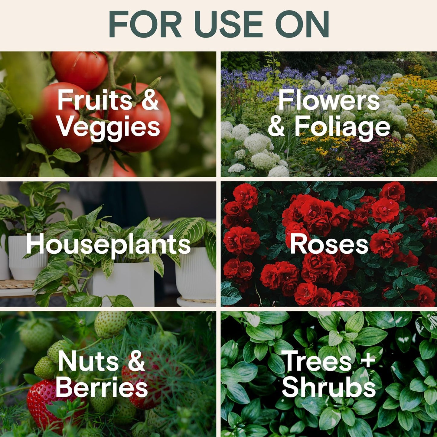 Organic Insecticide & Fungicide for Plants – Indoor & Outdoor Plant – Controls Powdery Mildew, Spider Mites, Aphids, Gnats & More – Safe Pesticide for Houseplant Insect Control, Vegetables & Lawns