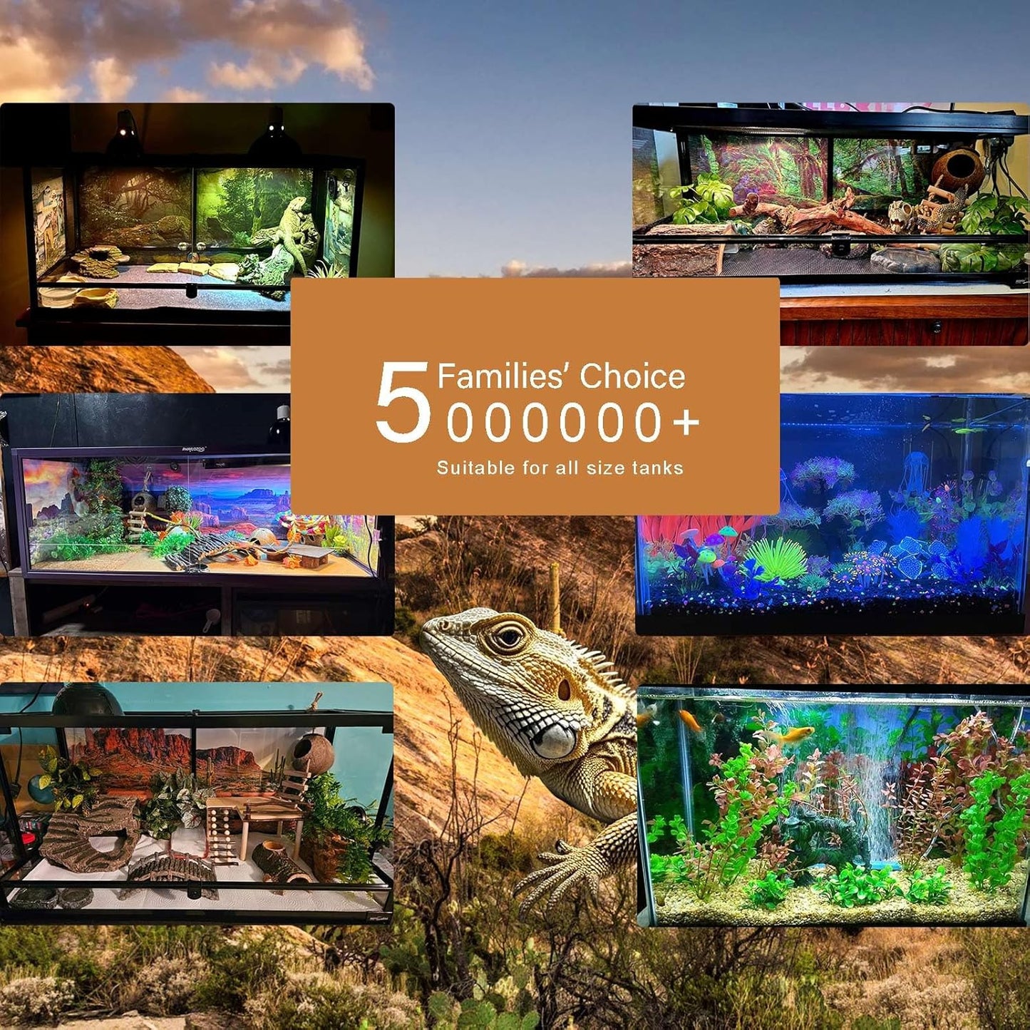 Underwater Aquarium Background Corals and Tropical Fish Terrarium Backdrop Rock Aquatic Plants Sunlight Rays Fish Tank Background Tank Aquarium Wallpaper Poster Decor 72x18in