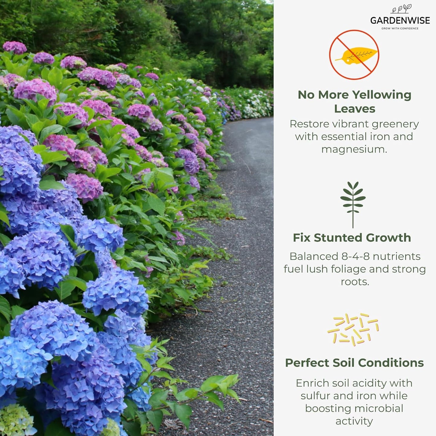 Slow Release Hydrangea Fertilizer with Iron & Sulfur – Indoor & Outdoor Soil Acidifier for Miracle Growth (1/2 qt)